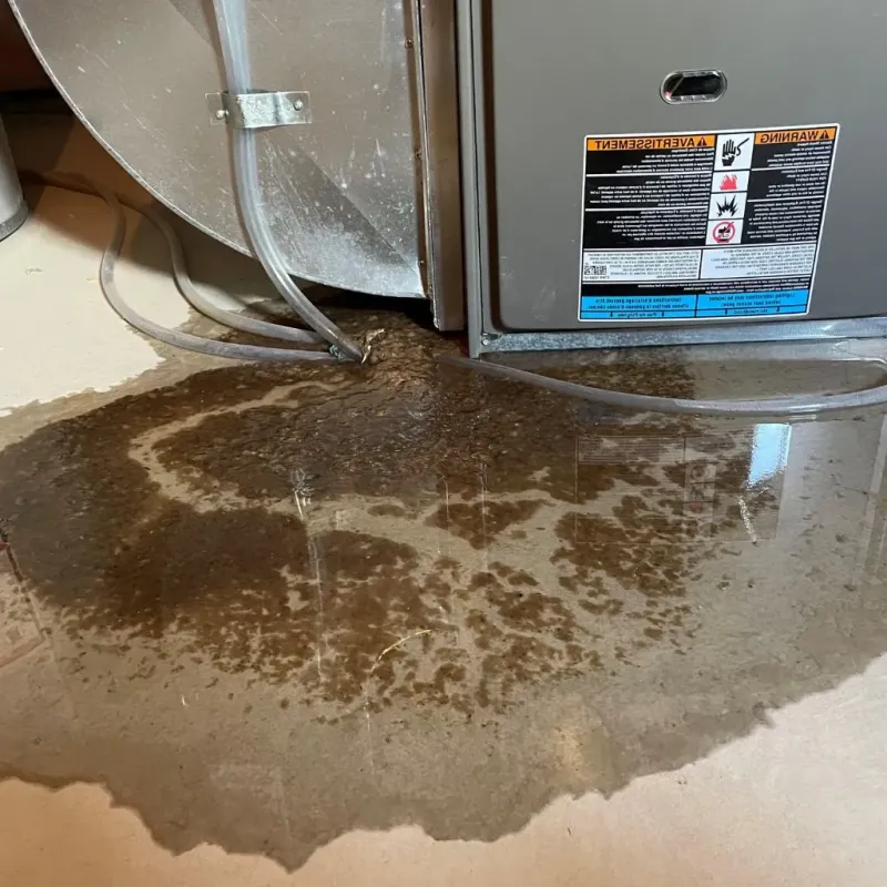 Pipe Burst and Leak Restoration in Mangum, OK