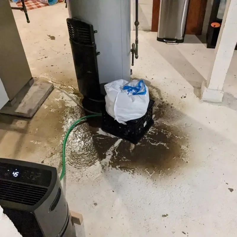 Sewage Backup Cleanup Service in Mangum, OK